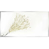 Gold Glitter Champagne on Mirror